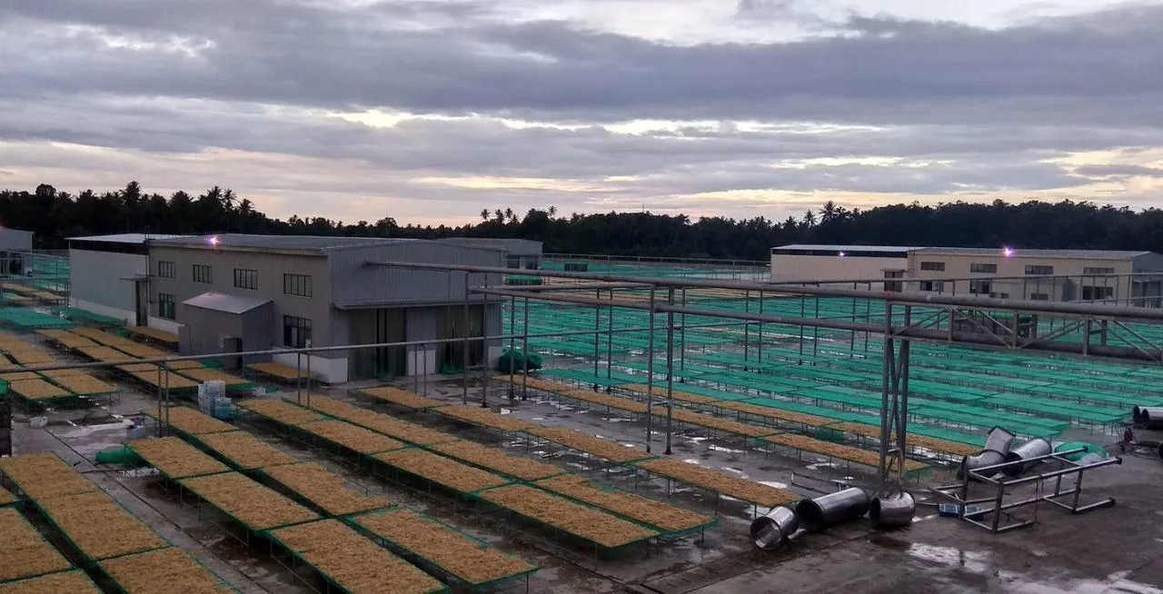 IMG-20251031-WA0033(1)